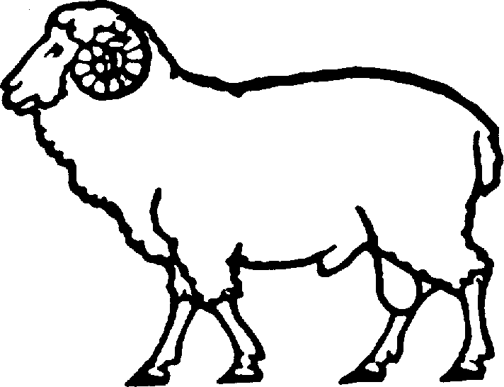 Shaltz Farm Logo