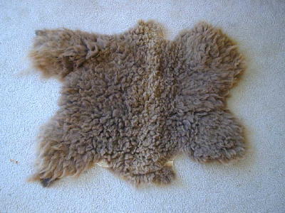 Shetland sheepskin
