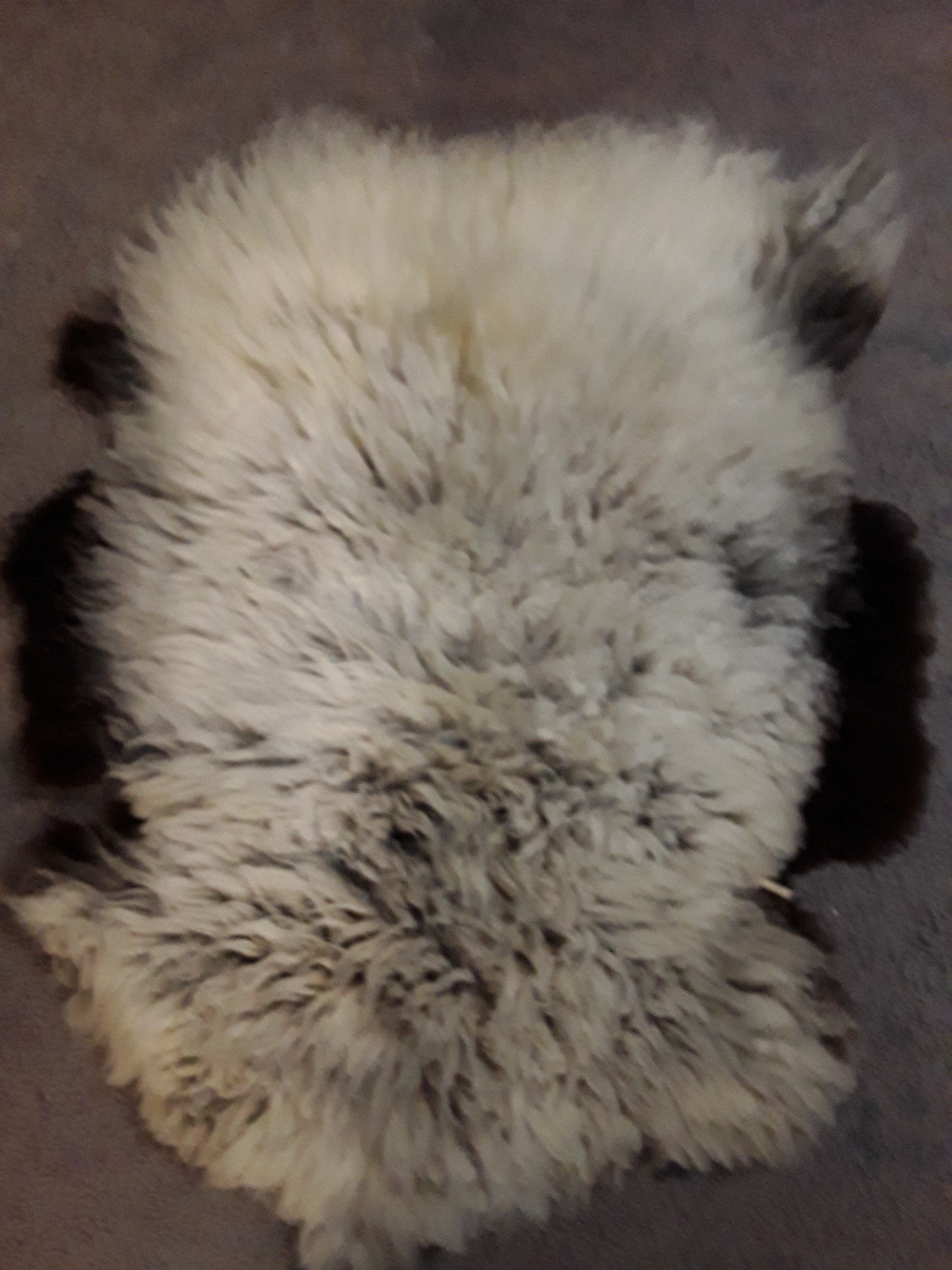 Shetland sheepskin #3