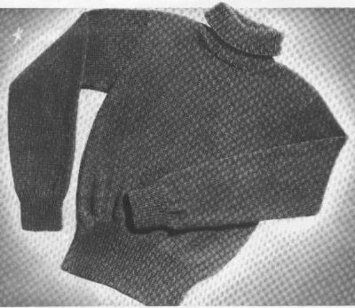 Turtle-Neck Sweater