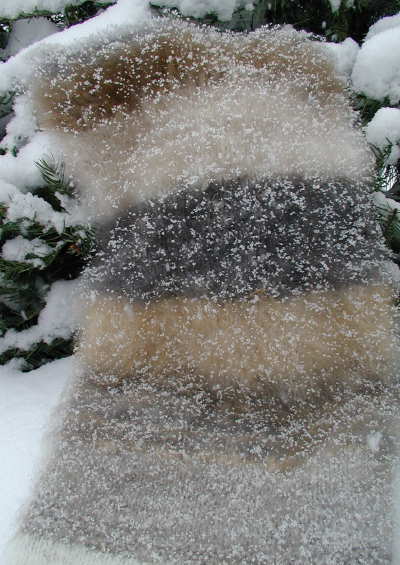 Wimple made of many colors of angora